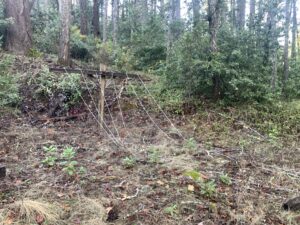 Las Posadas Tour Images