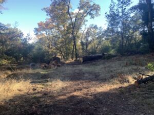 Las Posadas Tour Images