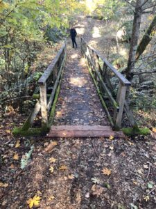 Las Posadas Tour Images