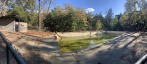 Las Posadas Tour Images