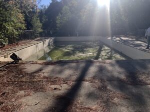 Las Posadas Tour Images