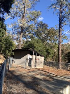 Las Posadas Tour Images